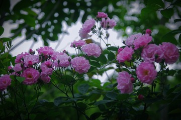 7E461C5A-3C6E-4EE1-AEA2-F5023FE37D5F/L0/001