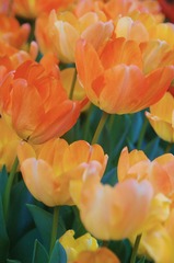 26B8B8A6-9A04-4225-AC25-300605CDAA59/L0/001