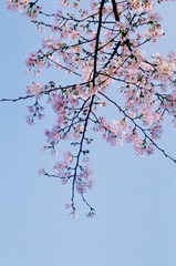 B47D8E0B-149F-401C-9C06-B8B25EEB694C/L0/001