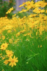 1590F4DF-1E92-43AB-8FC3-FAC8F20C534E/L0/001