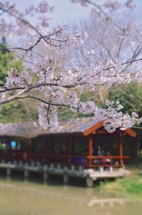 38F6B9C3-96D8-4C38-AEB5-EC9C72D3D687/L0/001