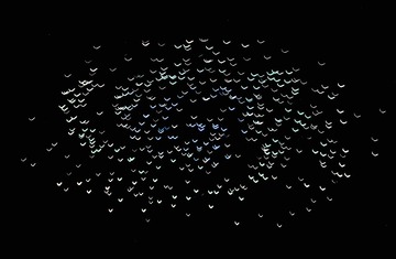 F4FA4DEE-A22D-4F41-9908-F1CD978293C0/L0/001