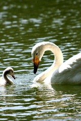 IMG_7857.jpg