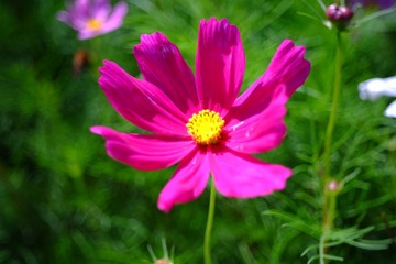 BD2FADD7-1915-4987-BA47-6B7F56889C33/L0/001
