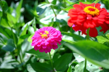 6D042457-5606-4E78-B5E8-0C5EFD639ECF/L0/001