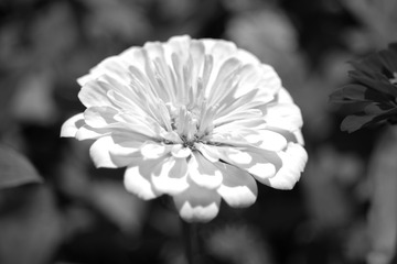2598F19F-BC5F-4E2D-8CB9-02C920DC1C3C/L0/001
