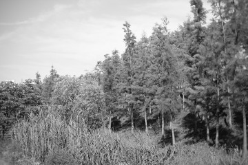 8F472913-150B-41D9-A2D2-3485164C7BD9/L0/001