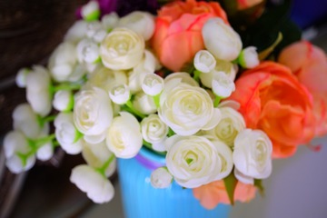 7A85AD66-6E1A-4DB5-814A-E325CB01AA57/L0/001