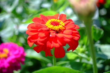 46D32369-4EA7-4B3E-9CDF-FF8C1B7B4AD5/L0/001