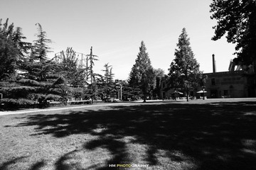 IMG_1004-1.jpg