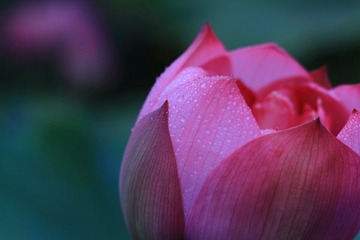 IMG_3176.JPG
