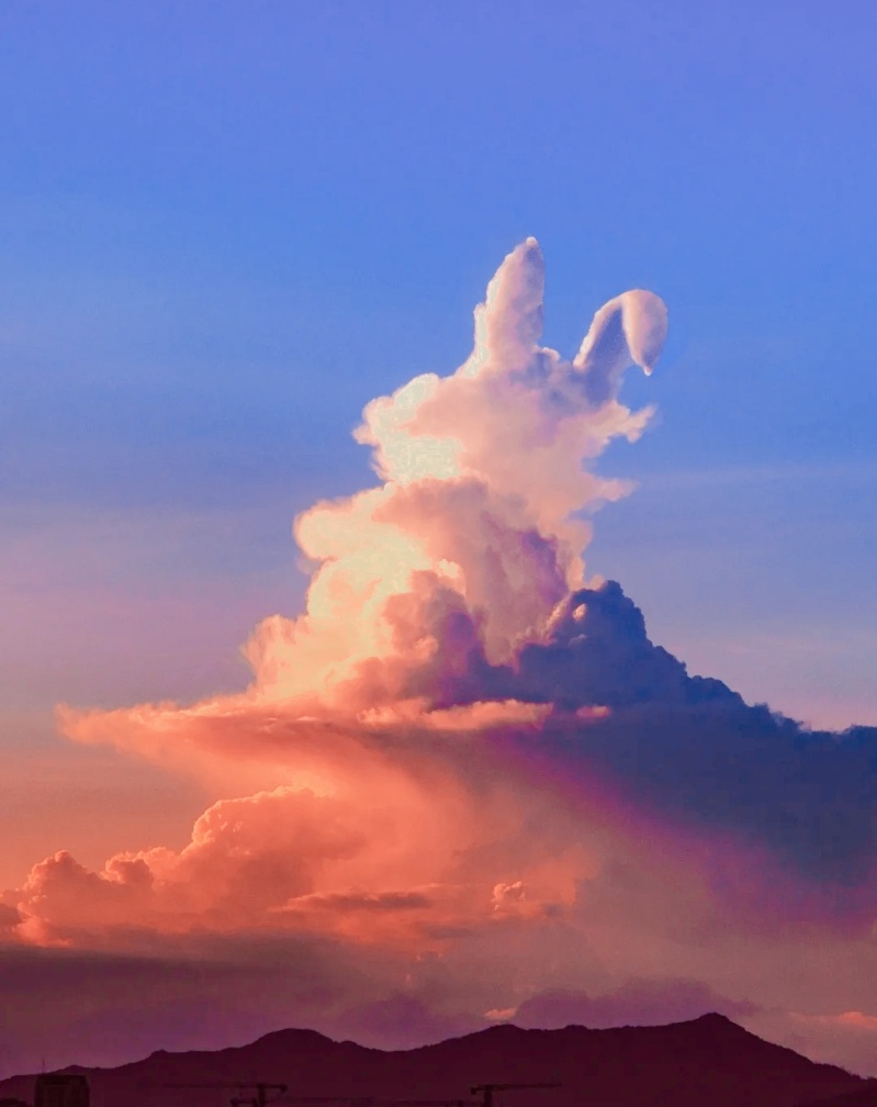 我是一只小兔子蹦蹦跳跳想要进入你心里兔子云是个好东西可惜你没亲眼