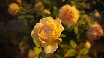 F2BBDD46-E945-4812-97DF-6A394564EC4F/L0/001