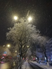 60411