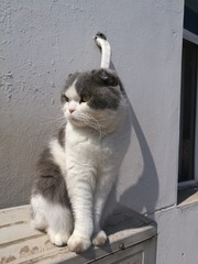 2122