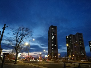 26306