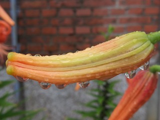 23076