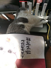 77159