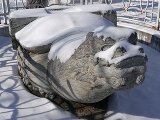 46643