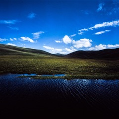 DPP_15