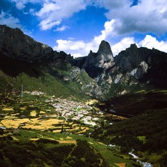 DPP_20