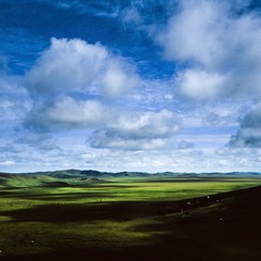 DPP_23