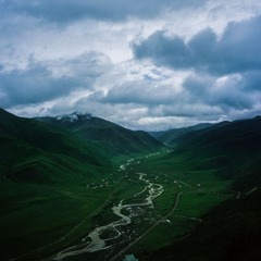 DPP_24