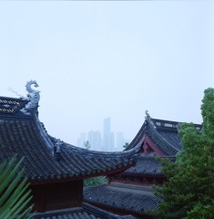 DPP_5