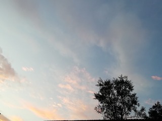 1626746