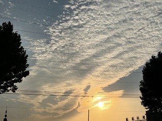 CF79D732-8F80-4506-985B-0D37ADE7A262/L0/001