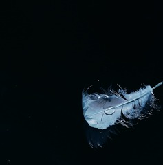 654129