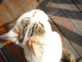 DSCN1166.JPG