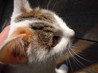 DSCN1168.JPG