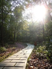 DSCN1176.JPG