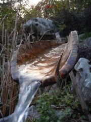 DSCN1211.JPG