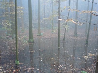 DSCN1350.JPG