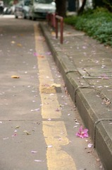 IMGP0029.jpg