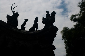 IMGP0013-1.jpg