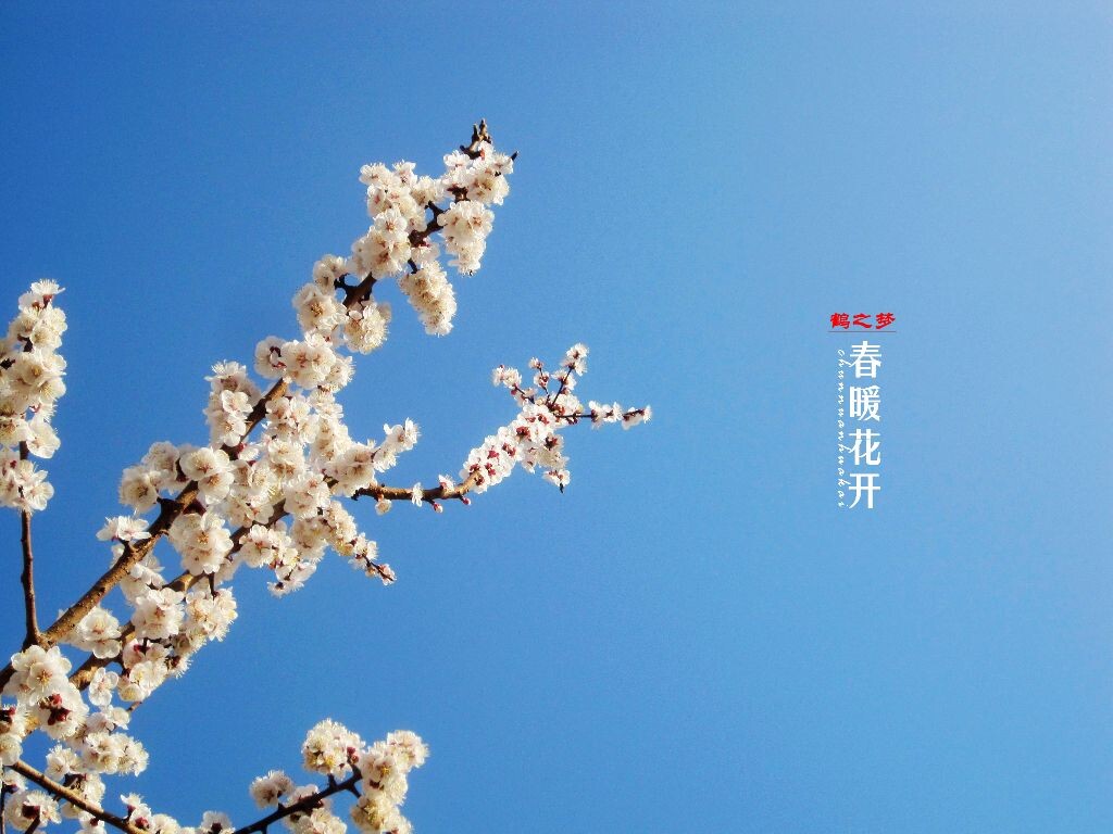 春暖花开<br />
