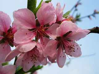 IMG_7198.jpg