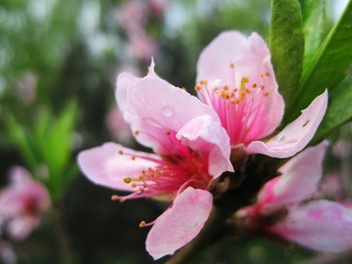 IMG_7199.jpg