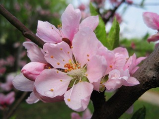 IMG_7200.jpg