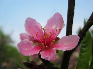 IMG_7205.jpg