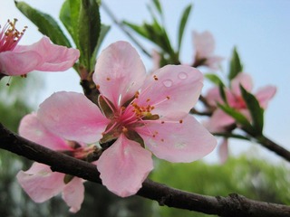 IMG_7207.jpg
