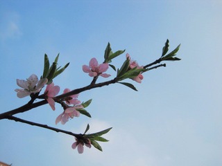 IMG_7209.jpg