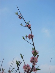 IMG_7210.jpg
