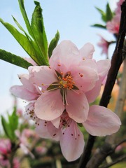 IMG_7211.jpg