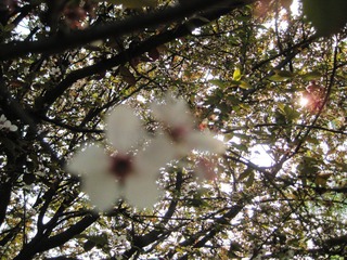 IMG_7212.jpg