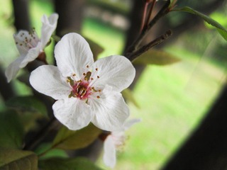 IMG_7214.jpg