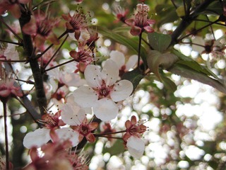 IMG_7218.jpg